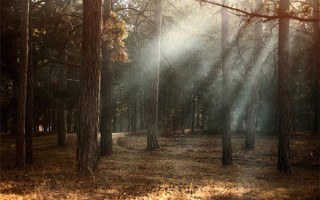 四环生物是做什么的 四环生物百度百科